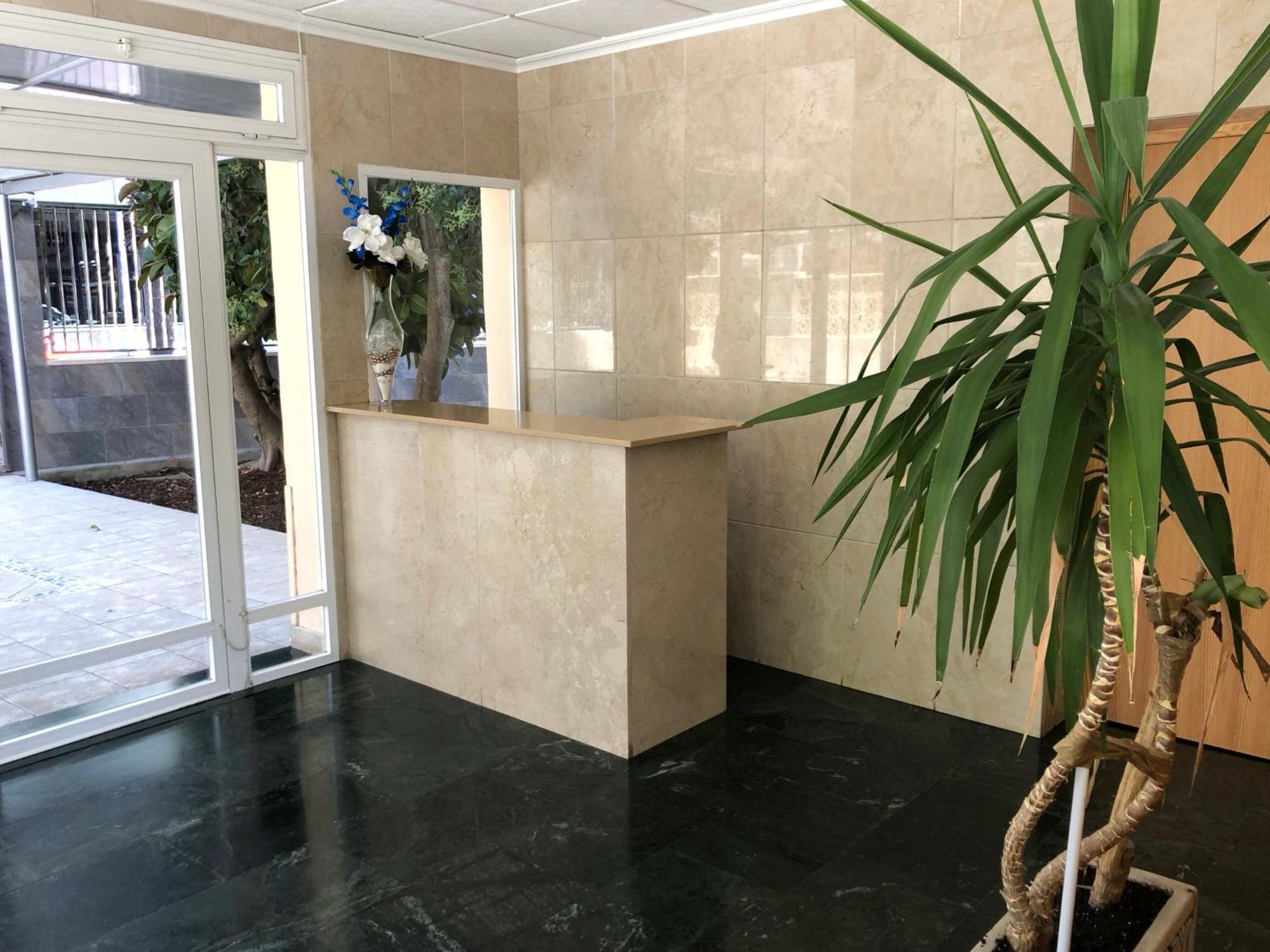 Niza 3B Holiday Apt Benidorm Dış mekan fotoğraf