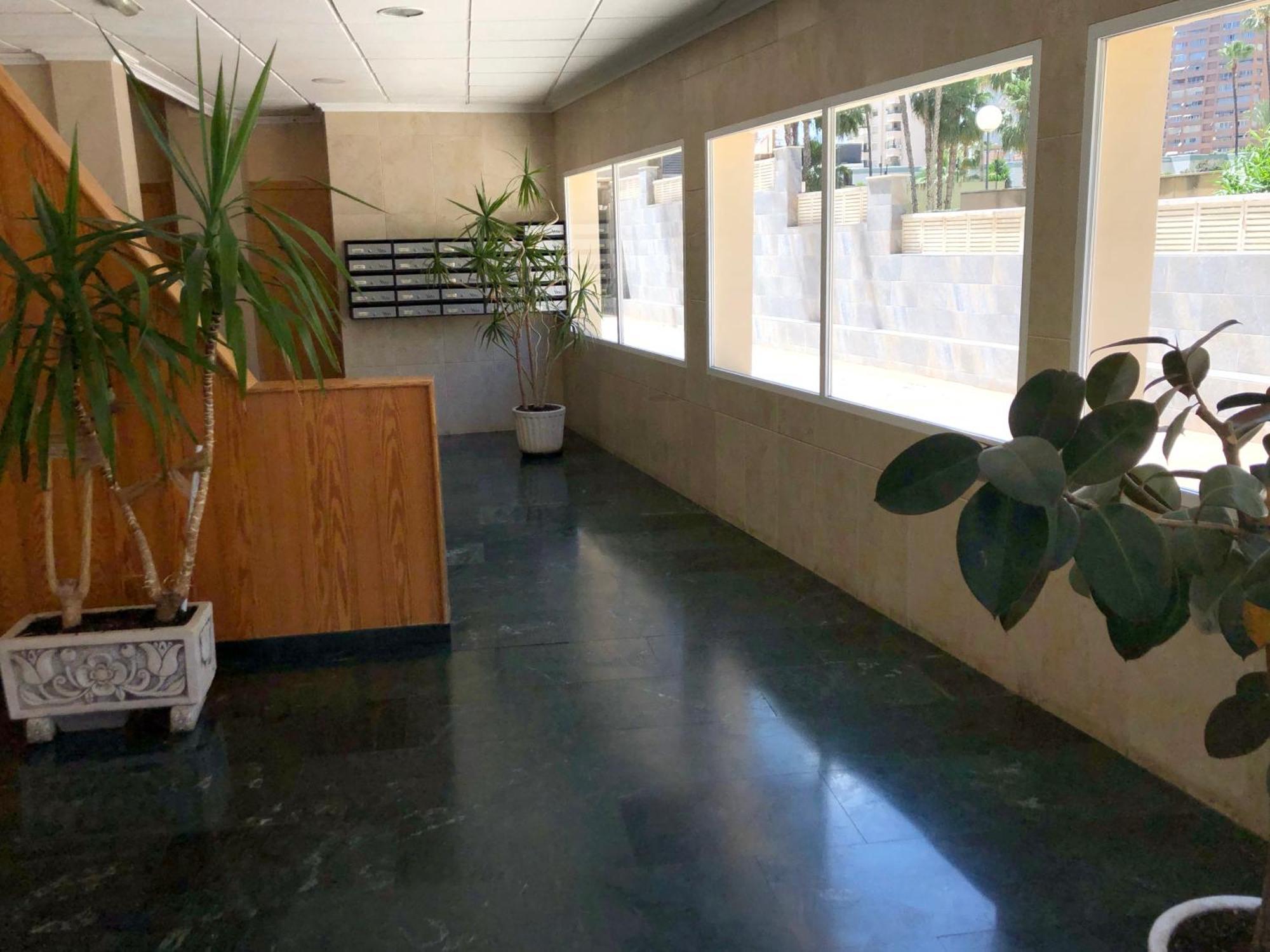 Niza 3B Holiday Apt Benidorm Dış mekan fotoğraf